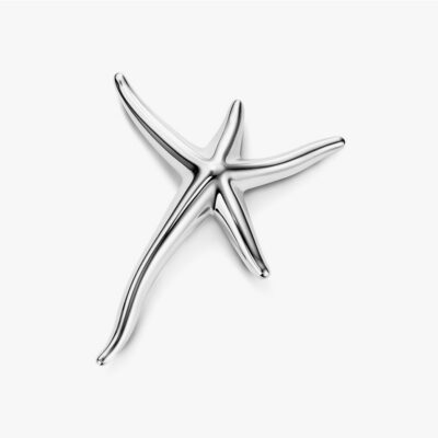 Titanium star Sticker